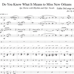 Do You Know What It Means to Miss New Orleans - Trad. Jazz Band